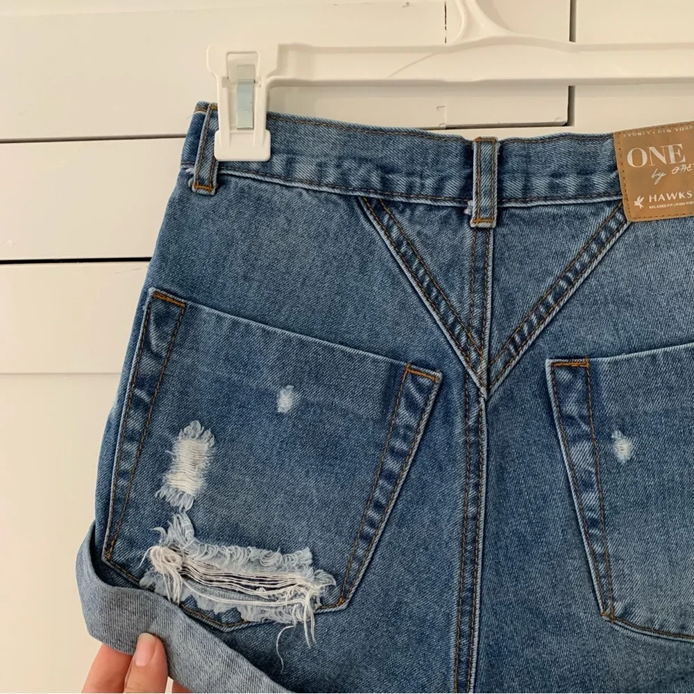 One X Oneteaspoon Button Fly Distressed Size 22 Shorts